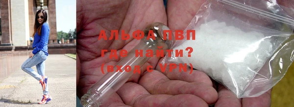 гашик Липки