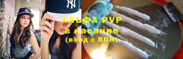гашик Липки