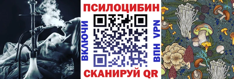 Псилоцибиновые грибы мицелий Балабаново